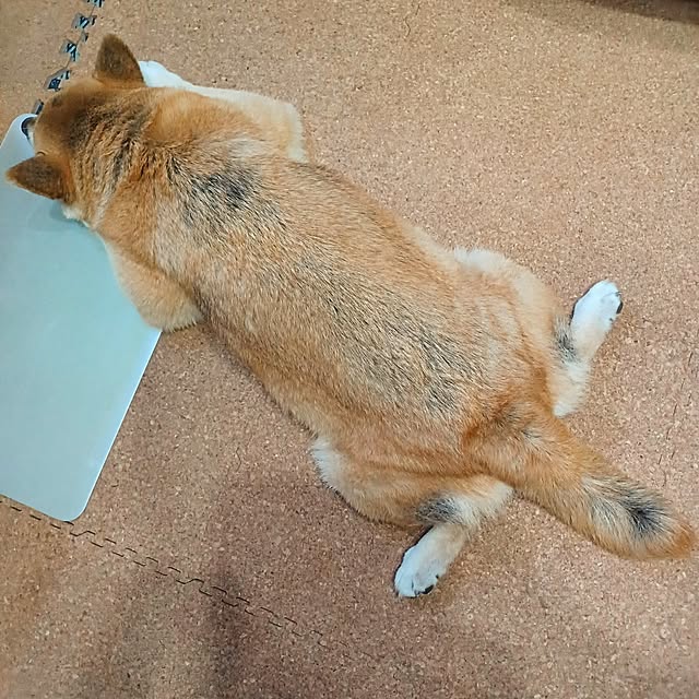 nanaさんの部屋
