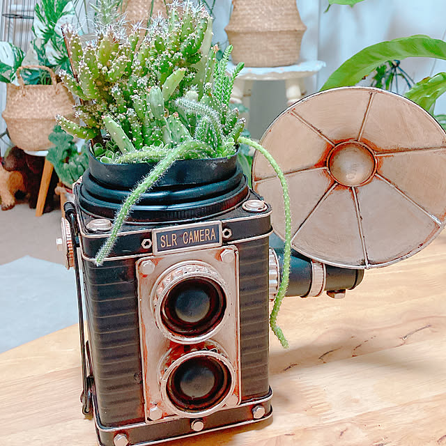 Hanakaさんの実例写真