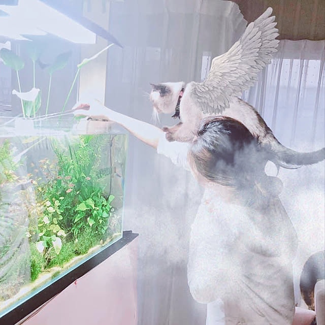 Nylさんの実例写真