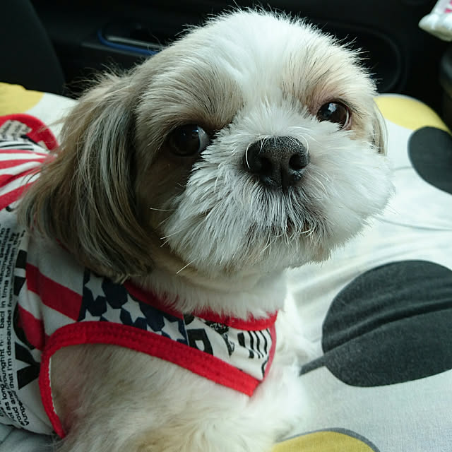 ronさんの実例写真