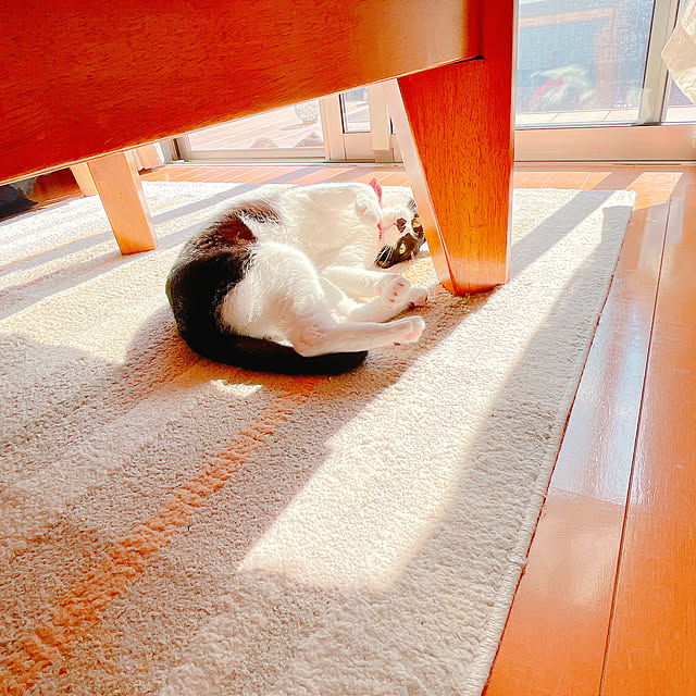 moolさんの部屋