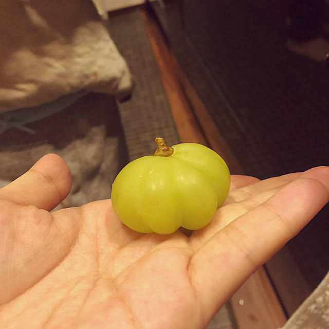 pinochoさんの実例写真