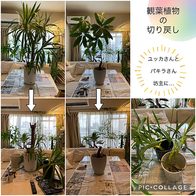 Emafuさんの実例写真