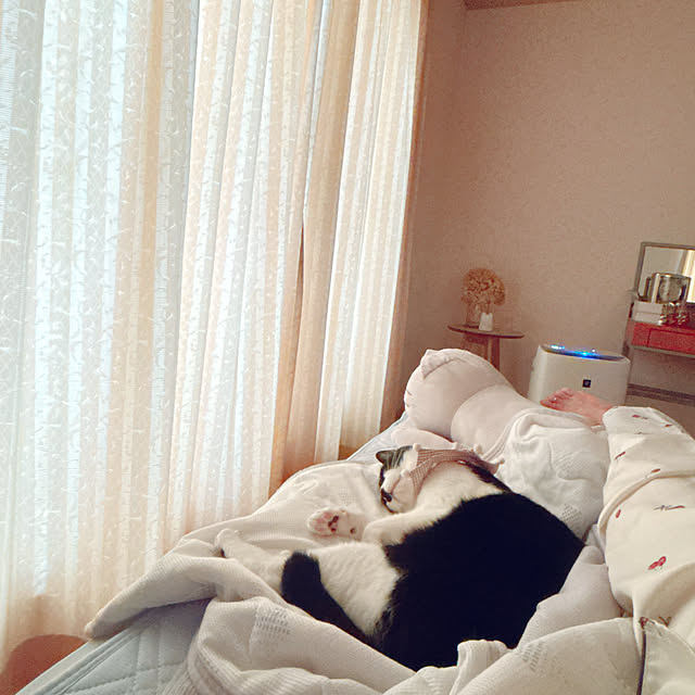 moolさんの実例写真