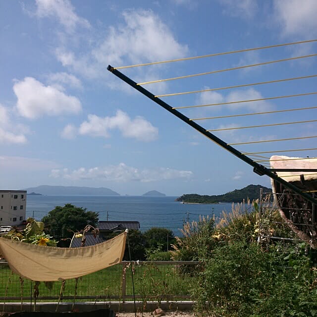 COLeCoさんの実例写真