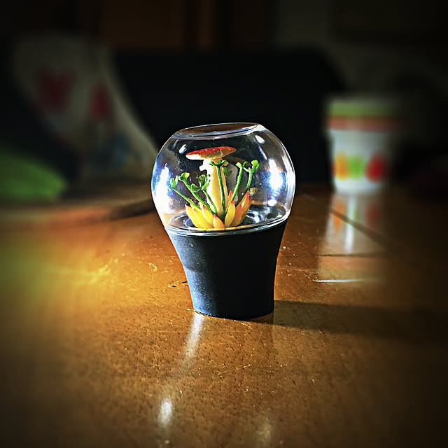 ramuchop3000さんの実例写真