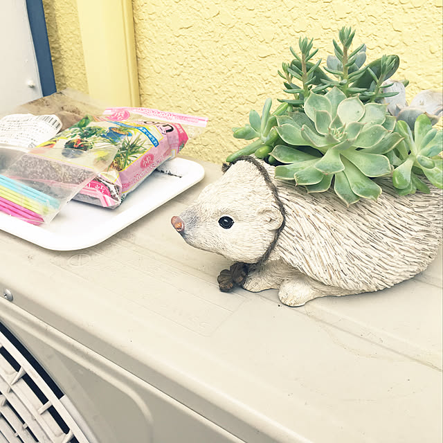 whale1121さんの実例写真