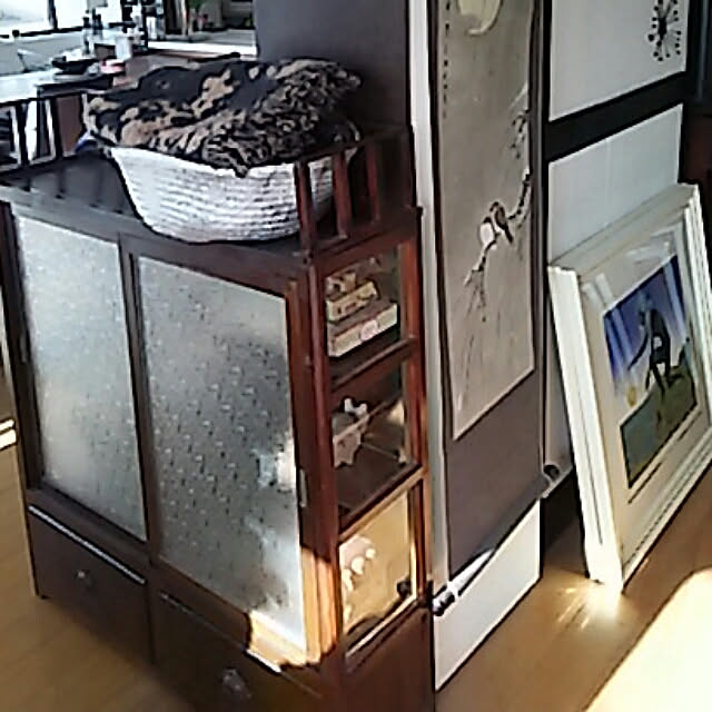 spinetailさんの実例写真