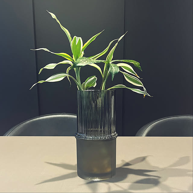 colorさんの実例写真