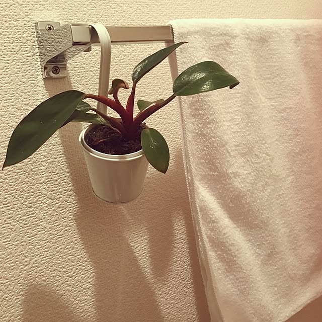 Rokuさんの実例写真