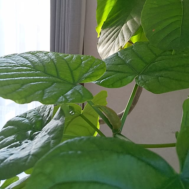 r.k.m.n_n.3.4.5さんの実例写真