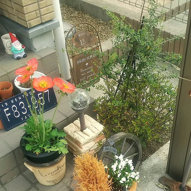 naoさんの実例写真