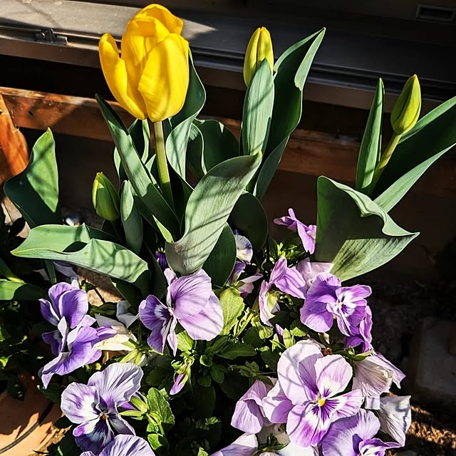 mofukoさんの部屋