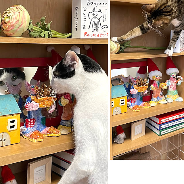 nobikoさんの実例写真