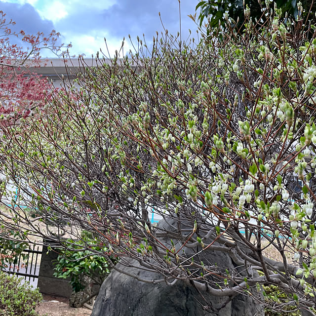 shin0719さんの実例写真