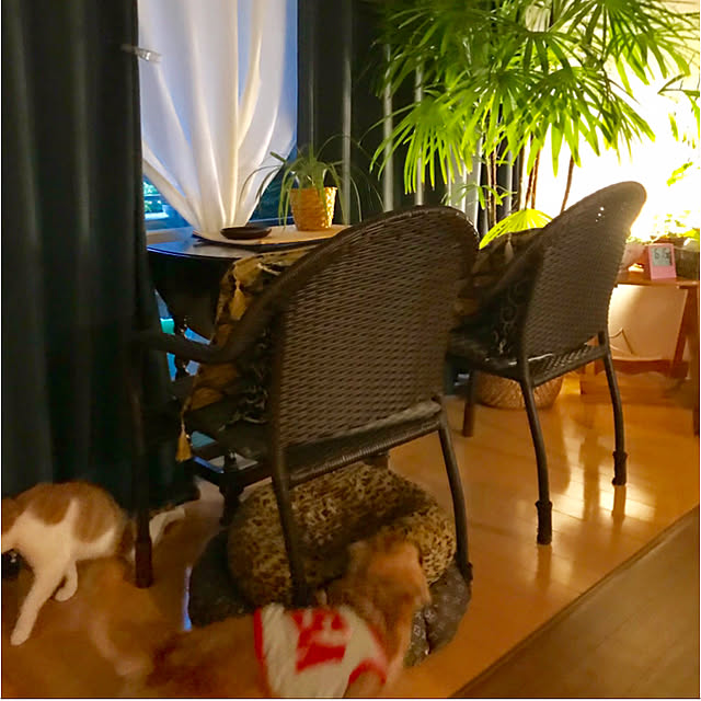 yurincaさんの実例写真