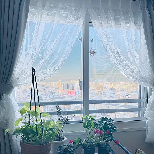 junさんの実例写真
