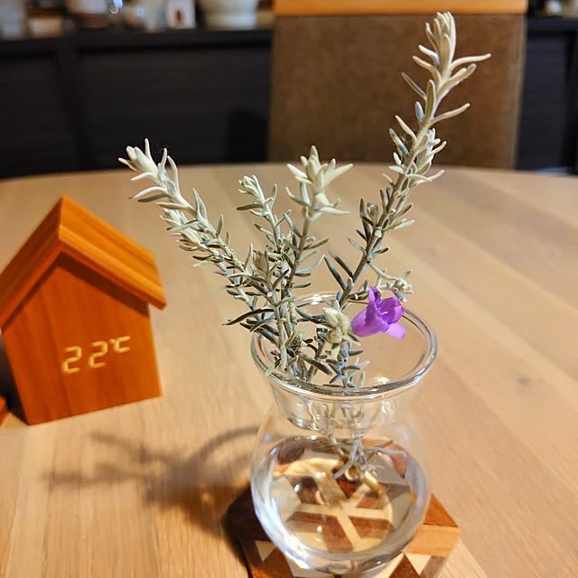 coconathuさんの部屋