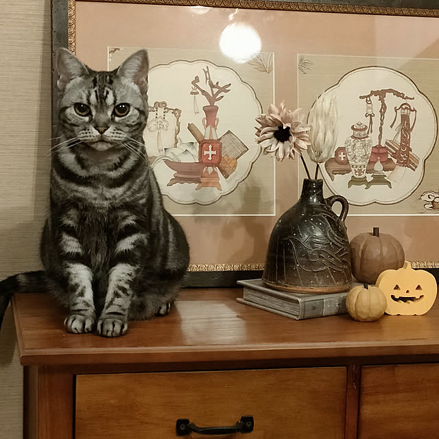 Yoko622さんの実例写真