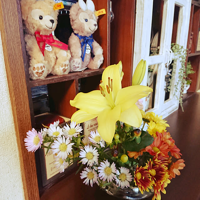 todorinkoさんの実例写真