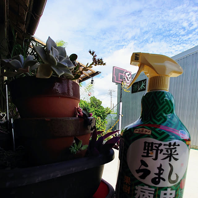 kikuさんの実例写真