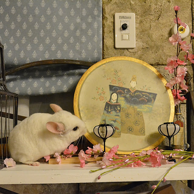 bambiさんの実例写真