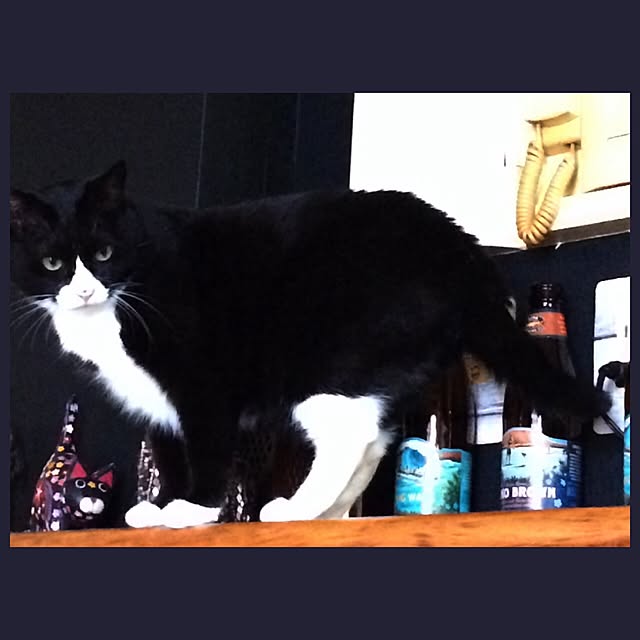 eikinukoさんの実例写真