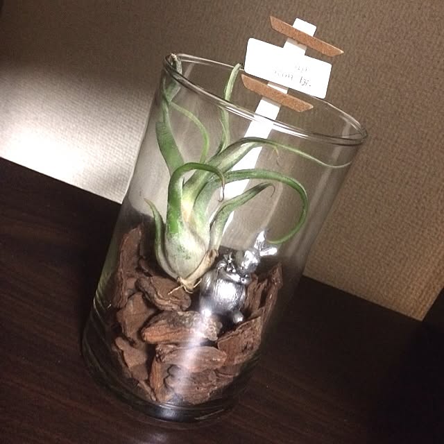 aYaさんの実例写真