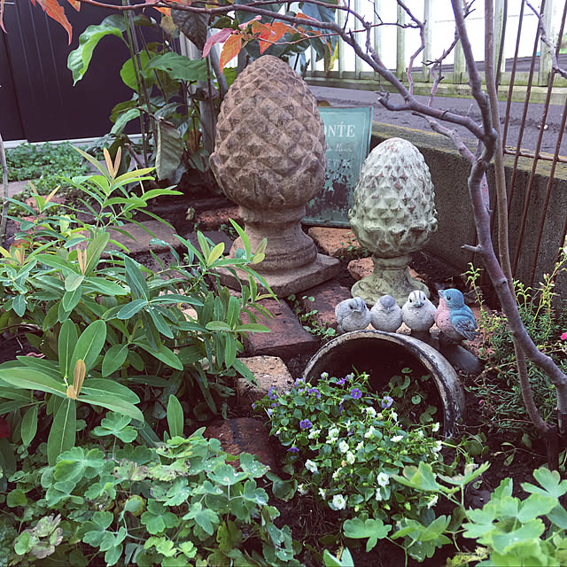 himenekoさんの実例写真