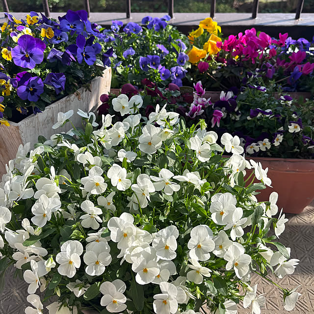 syutmmさんの部屋