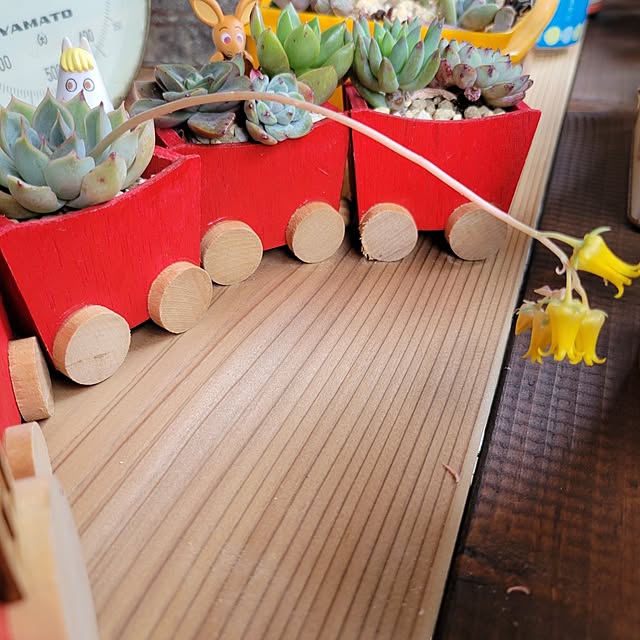 akiak.3さんの実例写真