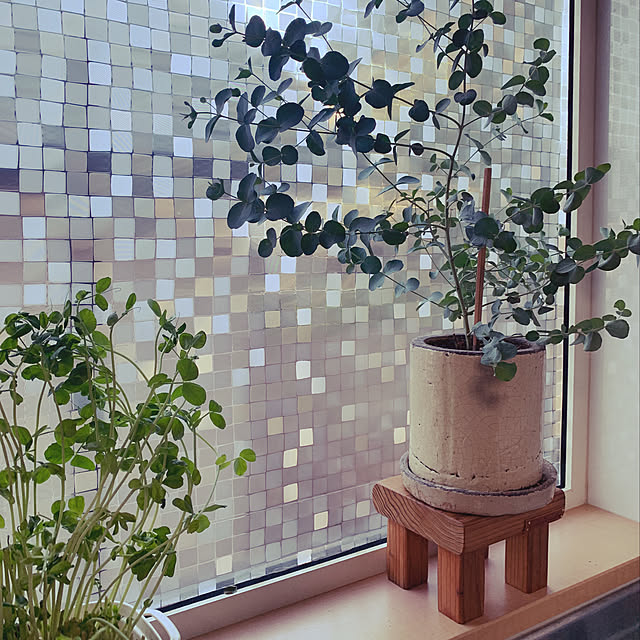 imanik-cafeさんの実例写真