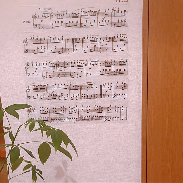 saahannさんの実例写真