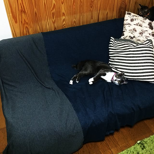 実例写真