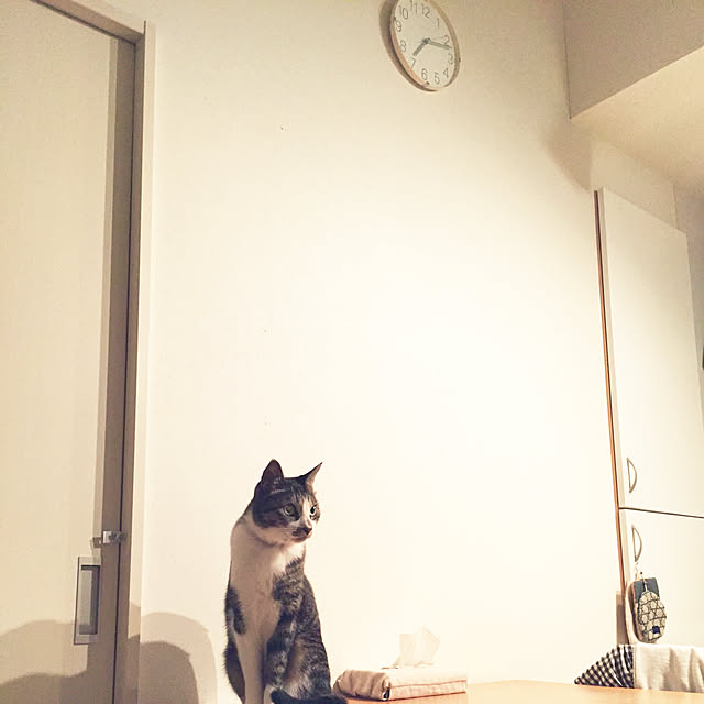 JUENさんの実例写真