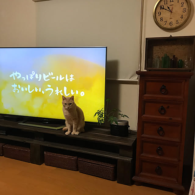 mikan161さんの実例写真