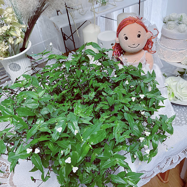 shoさんの実例写真