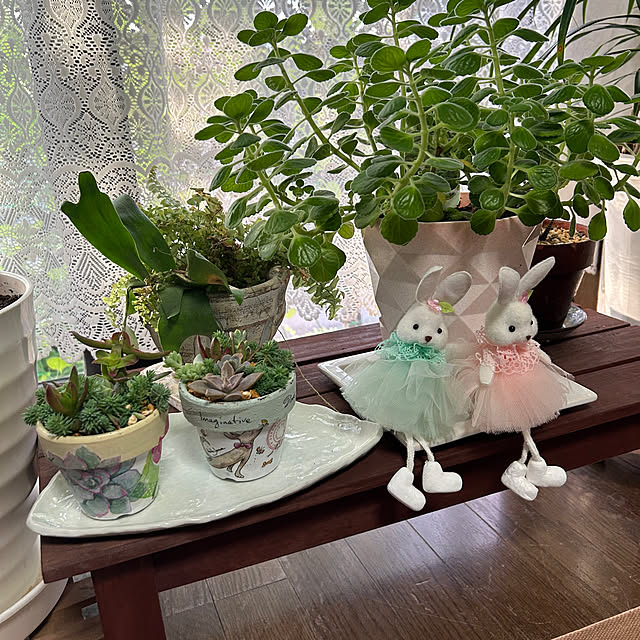 ritsukoさんの部屋
