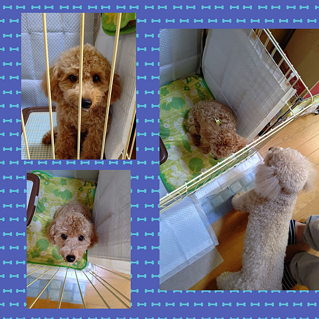 yumirinさんの実例写真