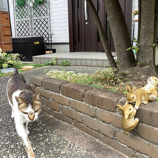 haruminさんの部屋