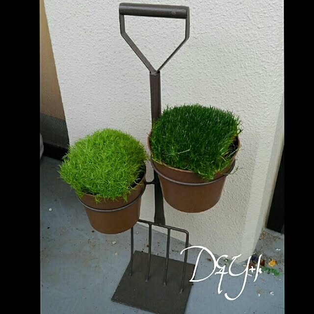 DandYkさんの実例写真
