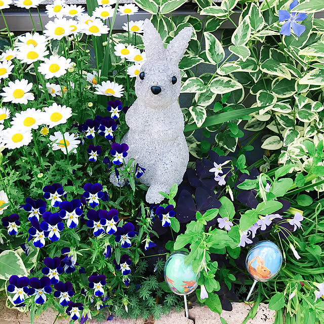 portulacaさんの実例写真