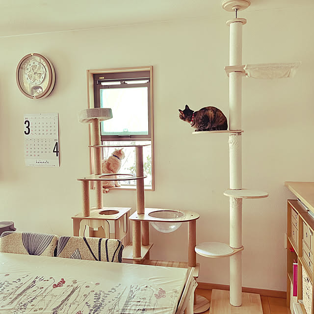 chiiさんの実例写真