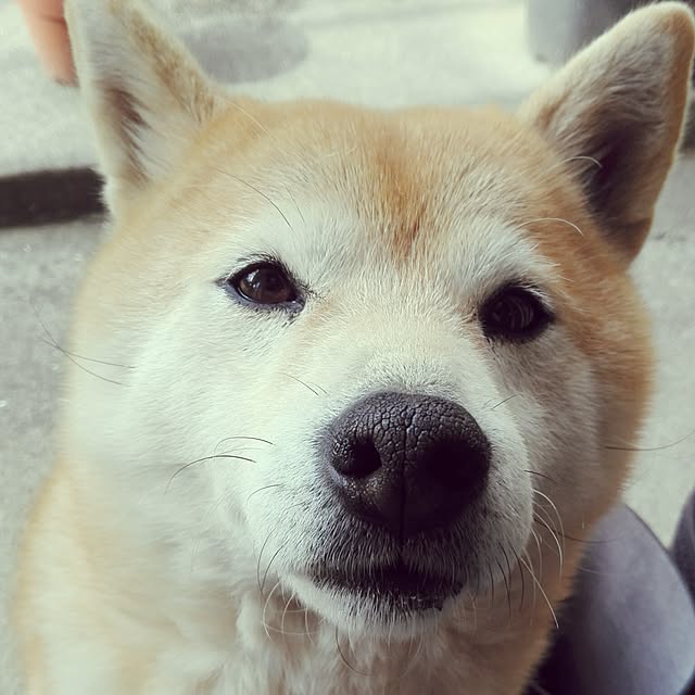 YUKKIさんの実例写真