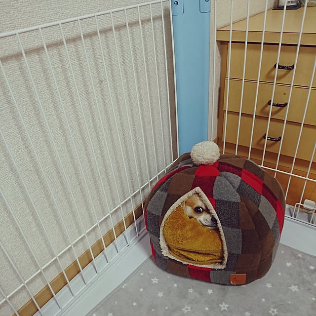 nattimomoさんの実例写真