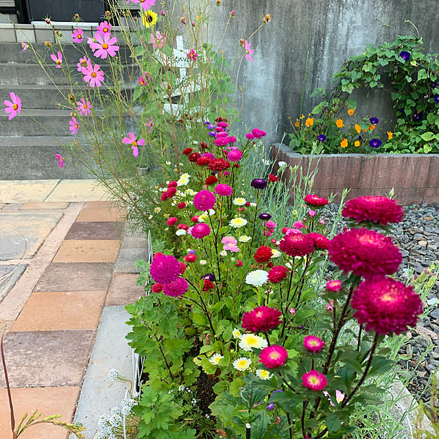 sinya96さんの実例写真