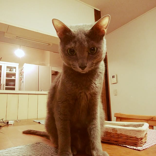 tomo1220さんの実例写真