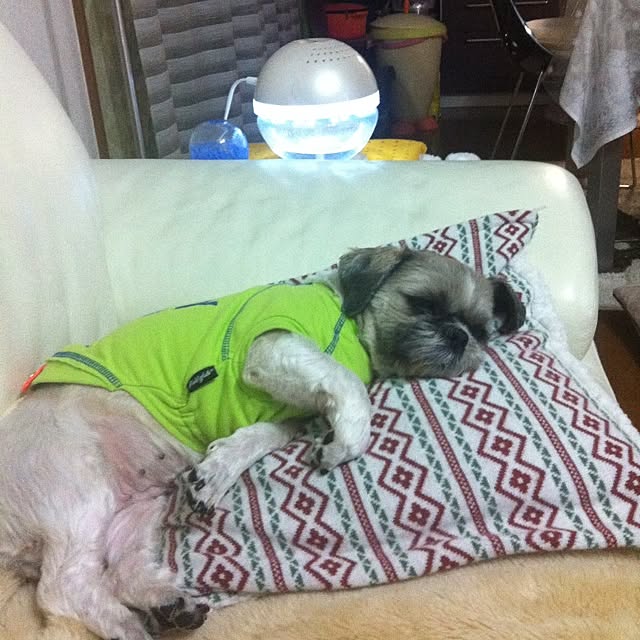 megumixjpさんの実例写真