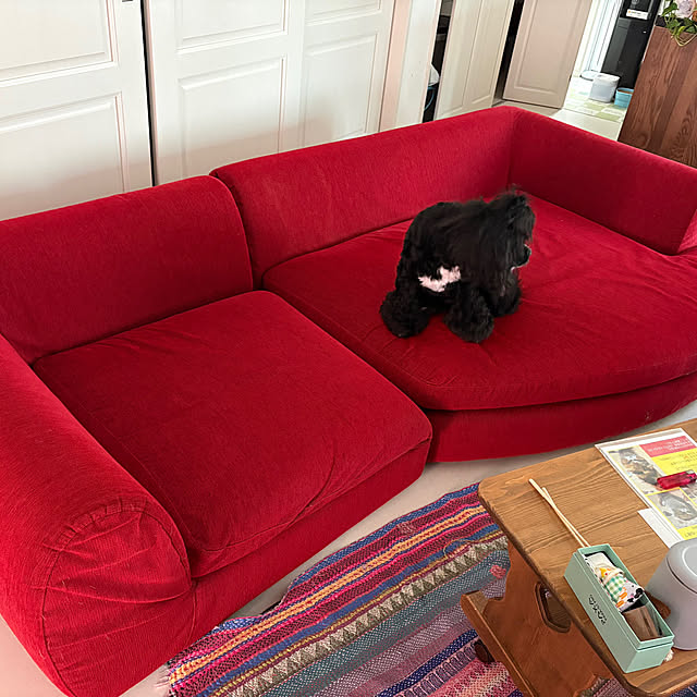 junonさんの実例写真