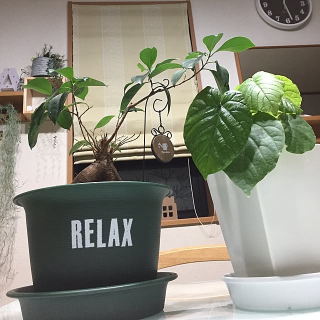 CoffeeHouseさんの実例写真